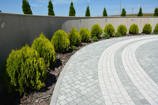 Best Permeable Paver Driveway  in Shandon, CA